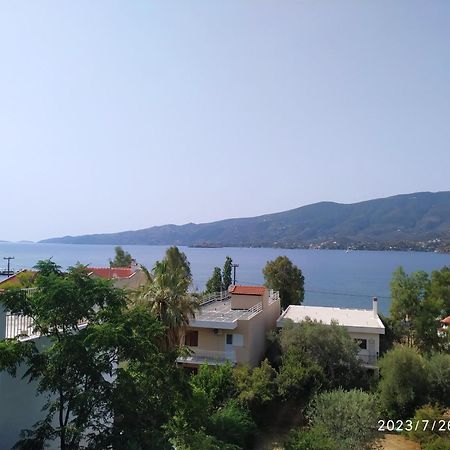 Rigos House At Askeli Beach, Poros Island Villa Poros Town Luaran gambar