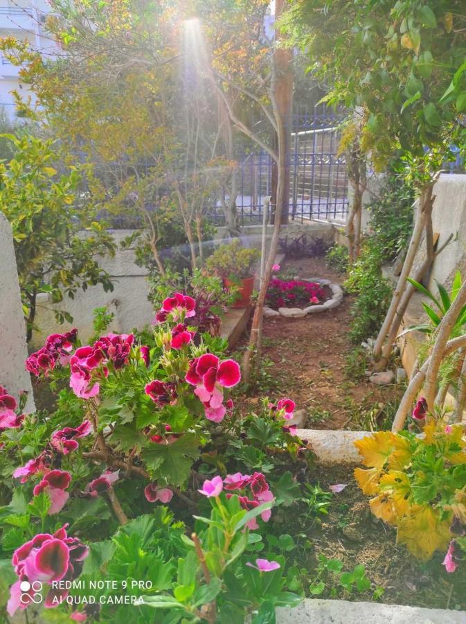 Rigos House At Askeli Beach, Poros Island Villa Poros Town Luaran gambar